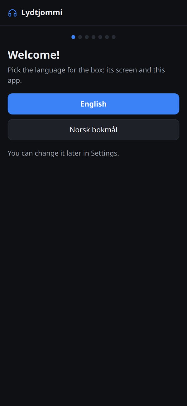 The setup wizard starts on the phone.